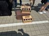 IMG-20230528-WA0060