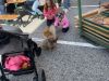 IMG-20230924-WA0026